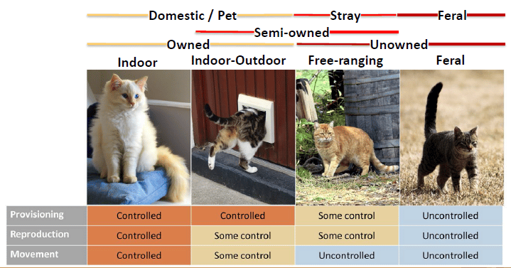 Information WA Feral Cat Working Group